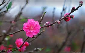 Le printemps est arrivé pour les gardes-frontière à l’extrême ouest du pays